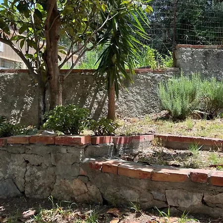 Appartamento Viola's House